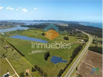 https://www.gallito.com.uy/venta-de-terreno-con-gran-superficie-en-laguna-de-los-cisne-inmuebles-23502139