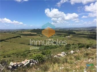 https://www.gallito.com.uy/las-mejores-vistas-de-la-zona-imponente-inmuebles-23023955