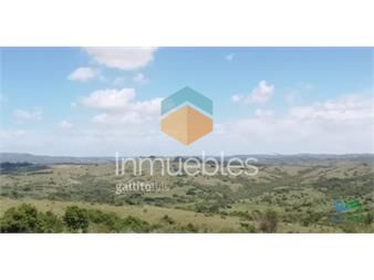 https://www.gallito.com.uy/excelentes-vistas-y-ubicacion-especial-para-fraccionar-inmuebles-26156410