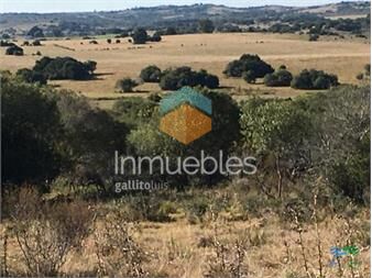 https://www.gallito.com.uy/184-has-muy-buena-oportunidad-para-fraccionar-en-chacras-inmuebles-22538721