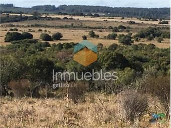 https://www.gallito.com.uy/80-has-al-norte-de-garzon-buen-acceso-vistas-monte-y-luz-inmuebles-22538720