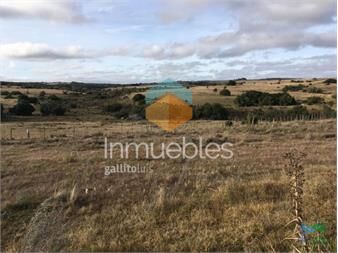 https://www.gallito.com.uy/104-has-en-garzon-inmuebles-22538719