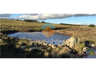 https://www.gallito.com.uy/lindo-campito-de-37-has-a-metros-de-ruta-12-y-15-minutos-de-inmuebles-22538559