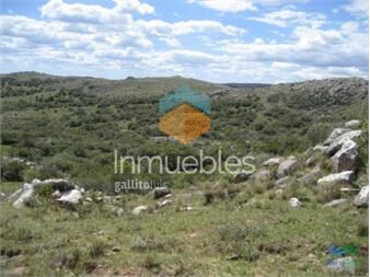 https://www.gallito.com.uy/177-has-campo-de-sierras-cañada-monte-nativo-inmuebles-22538561