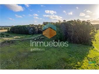 https://www.gallito.com.uy/venta-de-terreno-de-10000-m2-en-las-silvias-punta-ballena-inmuebles-23886638