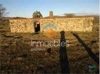 https://www.gallito.com.uy/82-has-cerca-de-pueblo-eden-y-r12-inmuebles-22538428