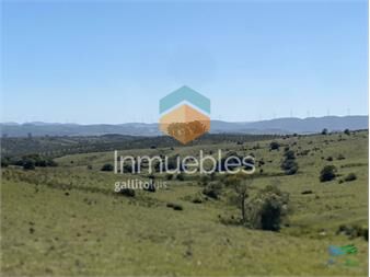 https://www.gallito.com.uy/chacras-con-vistas-unicas-olivos-sierras-y-descanso-inmuebles-24936900