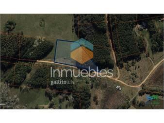https://www.gallito.com.uy/venta-de-terreno-de-10000-m2-en-punta-del-este-laguna-del-inmuebles-23886718
