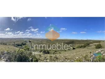 https://www.gallito.com.uy/campo-forestado-433-has-en-tupambae-cl-inmuebles-23360920
