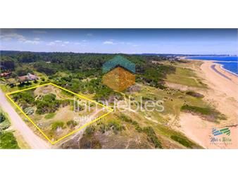 https://www.gallito.com.uy/venta-terreno-primera-linea-playa-mansa-inmuebles-22538648