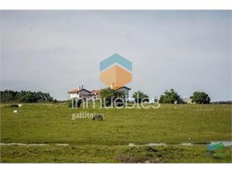 https://www.gallito.com.uy/casa-tipo-colonial-en-chacra-10-has-bien-ubicada-inmuebles-22538421