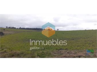 https://www.gallito.com.uy/18-has-r9-km-80-inmuebles-23442358