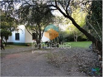 https://www.gallito.com.uy/media-hectarea-con-casa-sobre-r9-inmuebles-22628924