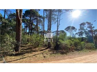 https://www.gallito.com.uy/terreno-en-venta-club-del-lago-ref-pbi1387-inmuebles-23063210
