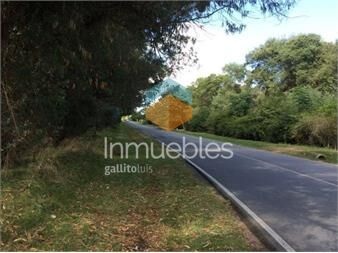 https://www.gallito.com.uy/terreno-el-tesoro-inmuebles-27125013