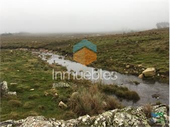 https://www.gallito.com.uy/198-has-sobre-ruta-12-arroyo-monte-nativo-a-15-kms-de-p-inmuebles-22538556