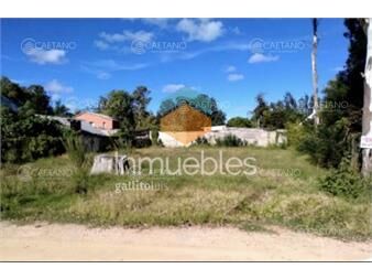 https://www.gallito.com.uy/venta-terreno-en-el-tesoro-460m-inmuebles-26102715