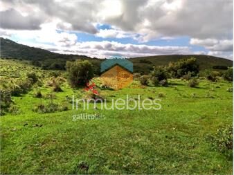 https://www.gallito.com.uy/venta-campo-78-hectareas-en-garzon-inmuebles-23217728