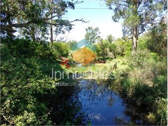 https://www.gallito.com.uy/venta-de-chacra-en-ruta-9-y-12-casi-5-has-con-costa-cañad-inmuebles-25686787