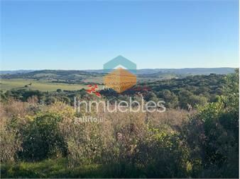 https://www.gallito.com.uy/venta-39-hectareas-en-sierra-de-las-cañas-inmuebles-21443596