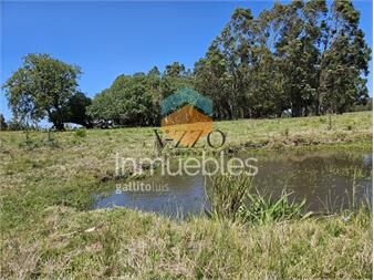 https://www.gallito.com.uy/venta-de-13-hectareas-a-10-minutos-del-faro-de-jose-ignac-inmuebles-26627269
