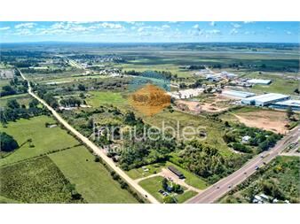 https://www.gallito.com.uy/venta-terreno-polo-logistico-maldonado-inmuebles-27129626