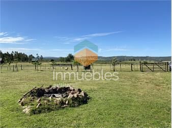 https://www.gallito.com.uy/vendo-chacra-turistica-lista-para-trabajar-inmuebles-26458666