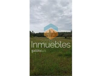 https://www.gallito.com.uy/chacra-11-has-con-casa-inmuebles-27129752