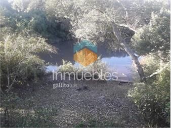 https://www.gallito.com.uy/chacra-de-4000-m2-con-costa-de-arroyo-y-monte-natural-inmuebles-22909999