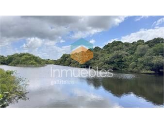 https://www.gallito.com.uy/campo-18-has-con-casa-en-los-ceibos-y-costa-de-arroyo-inmuebles-27139935