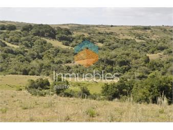https://www.gallito.com.uy/venta-de-chacras-de-5-has-se-ubicado-en-garzon-inmuebles-22908920