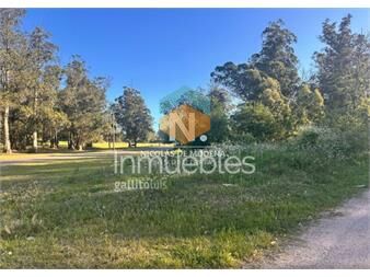 https://web5.gallito.com.uy/en-venta-en-marly-punta-del-este-inmuebles-27144153