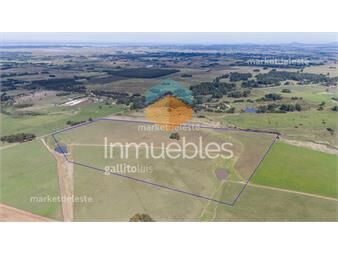 https://www.gallito.com.uy/ruta-104-chacra-42-hectareas-inmuebles-27150511