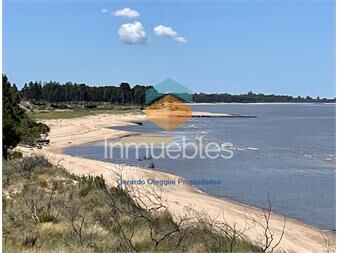 https://www.gallito.com.uy/venta-de-campo-sobre-el-rio-de-la-plata-con-2-5-km-costa-inmuebles-23024241