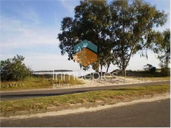 https://www.gallito.com.uy/real-de-san-carlos-village-inmuebles-27155638
