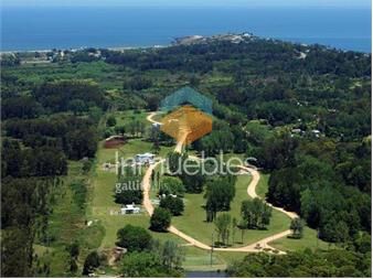 https://www.gallito.com.uy/av-antonio-lussich-lote-10-inmuebles-27155720