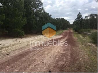 https://www.gallito.com.uy/carmelo-medanos-de-punta-gorda-lote-63-inmuebles-27155780