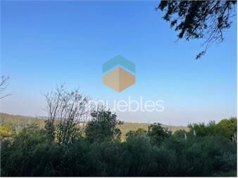 https://www.gallito.com.uy/punta-ballena-aterrazado-vista-a-punta-del-este-inmuebles-27155849