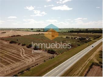 https://www.gallito.com.uy/colonia-1-ha-ruta-1-radial-santa-ana-inmuebles-27155872