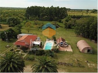 https://www.gallito.com.uy/1-riachuelo-ruta-1-km-167-inmuebles-27155888