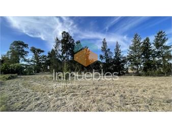 https://www.gallito.com.uy/parque-jousten-manzana-d-lote-1-inmuebles-27155954