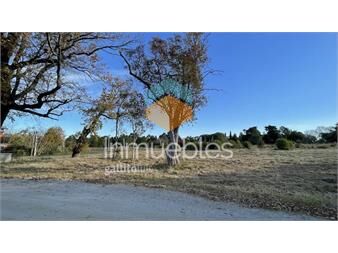 https://www.gallito.com.uy/parque-jousten-bahia-de-colonia-inmuebles-27155955