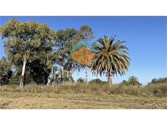 https://www.gallito.com.uy/parque-jousten-manzana-d-lote-25-inmuebles-27155960