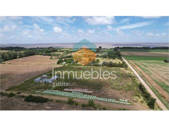 https://www.gallito.com.uy/espectacular-chacra-en-san-pedro-con-casona-a-terminar-a-m-inmuebles-27156024