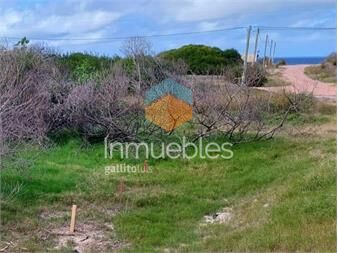 https://www.gallito.com.uy/terreno-en-punta-del-diablo-a-2-cuadras-de-playa-inmuebles-27156188