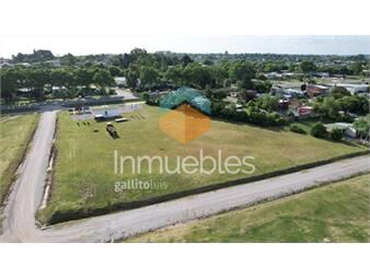 https://www.gallito.com.uy/terreno-en-venta-barrio-los-ceibos-manzana-b-lote-13-inmuebles-27156228