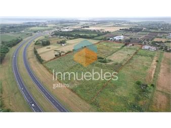 https://www.gallito.com.uy/venta-de-terreno-35-has-sobre-ruta-n-1-paso-de-la-arena-inmuebles-27156243