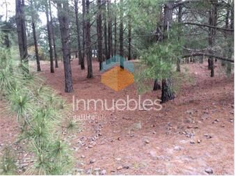 https://www.gallito.com.uy/venta-de-terreno-carmelo-medanos-de-punta-gorda-lote-1-inmuebles-27156276