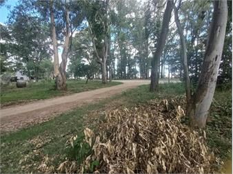 https://www.gallito.com.uy/terreno-con-amplio-frente-metros-de-la-playa-en-balneario-e-inmuebles-27156358