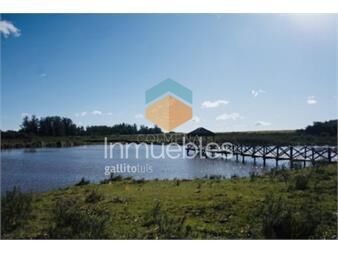 https://www.gallito.com.uy/chacra-importante-en-r-39-con-700-m2-construidos-inmuebles-22909585